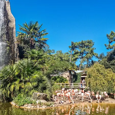 2 Bedroom Awesome In Chenac-saint-seurin-d' Сasa de vacaciones Saint-Seurin-d'Uzet