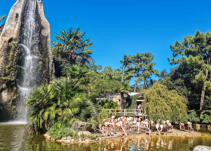 2 Bedroom Awesome In Chenac-saint-seurin-d' Сasa de vacaciones Saint-Seurin-d'Uzet